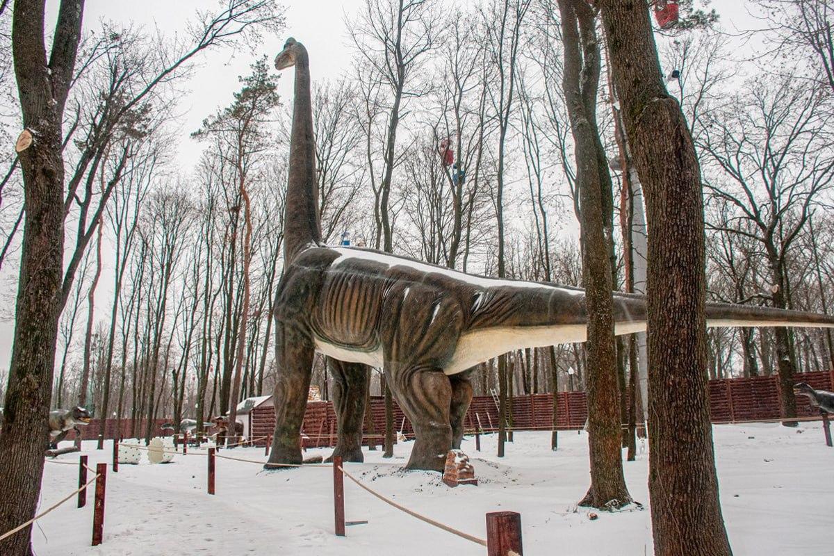 Găsiți un câine în zăpadă în 10 secunde / colaj Moje