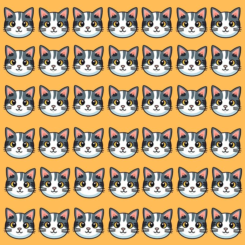 Această iluzie optică este posibilă doar pentru persoanele cu un IQ grandios / imagine Moje Această iluzie optică este posibilă doar pentru persoanele cu IQ grandios / imagine Moje