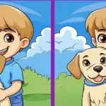 Test IQ: găsiți 3 diferențe în imaginea unui băiat și