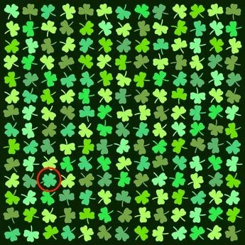 Răspunsul corect la puzzle Răspunsul corect la puzzle