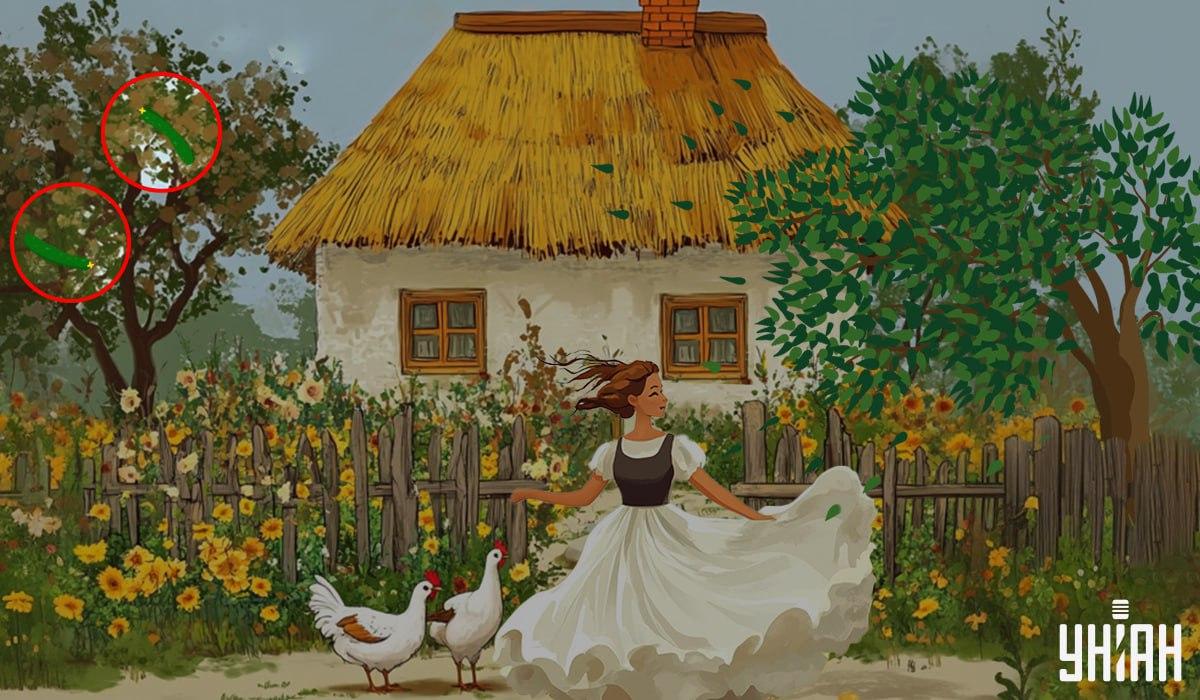 răspuns / fotografie Moje