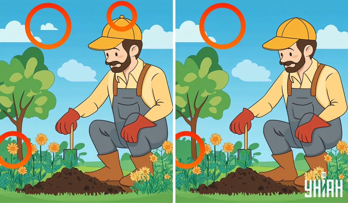 Colaj Moje - Soluția cu diferențele evidențiate