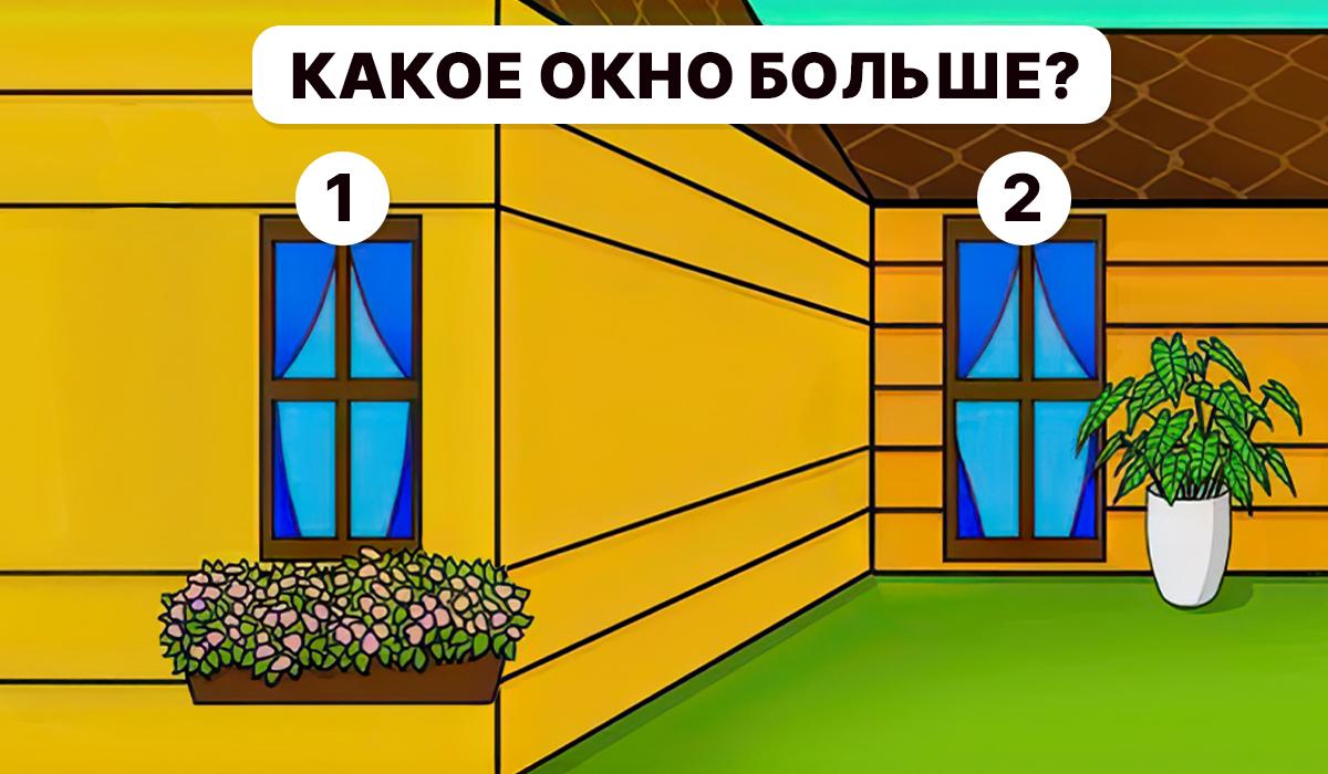 Este necesar să înțelegeți care fereastră este mai mare / colaj Moje