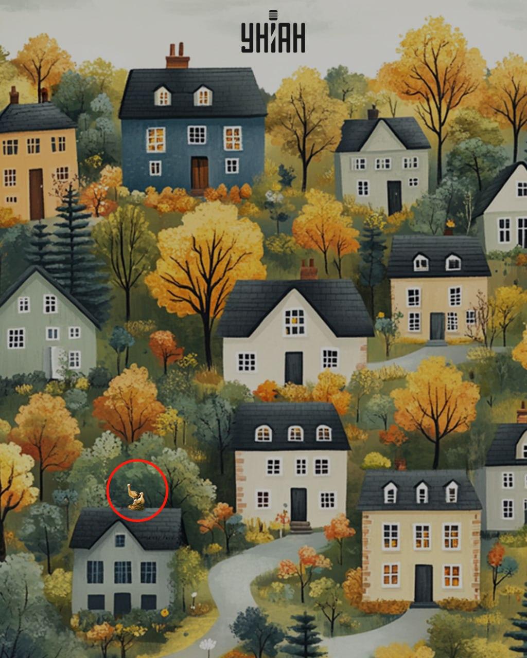 Colaj Moje cu soluția