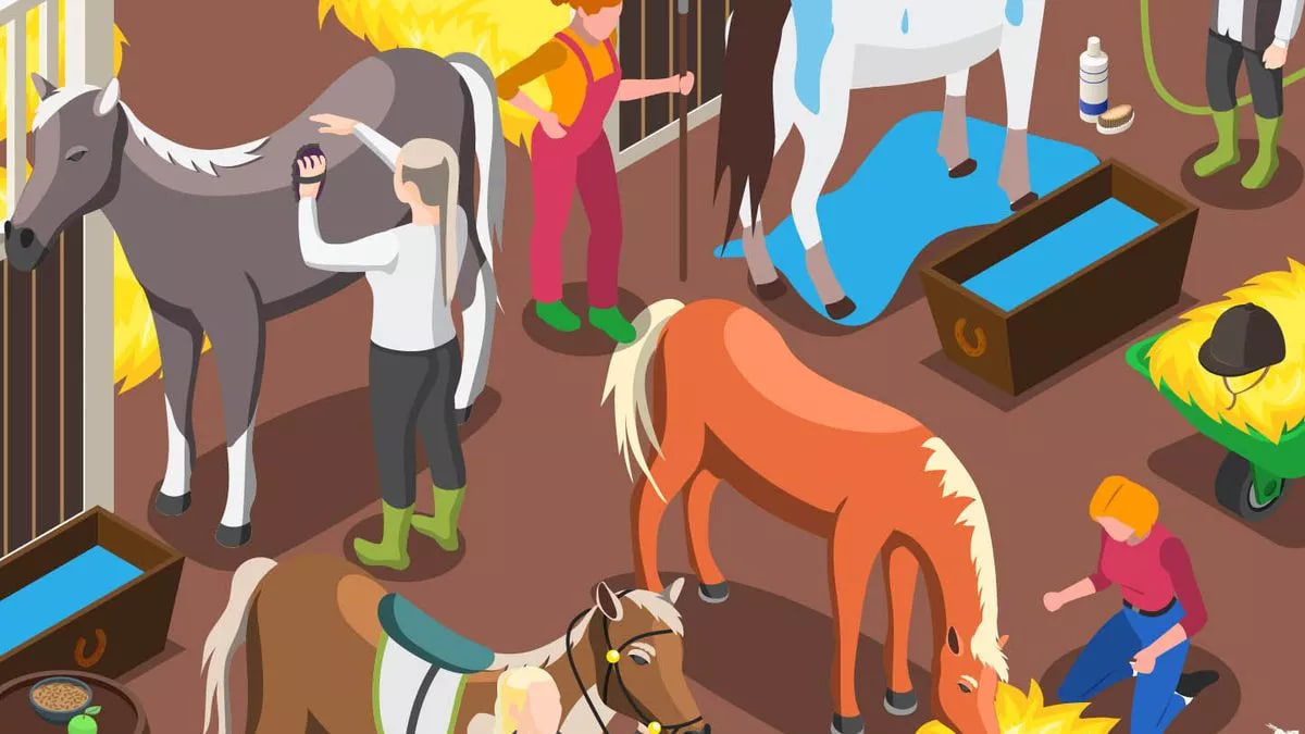 Puzzle, potcoavă Puzzle, Potcoavă