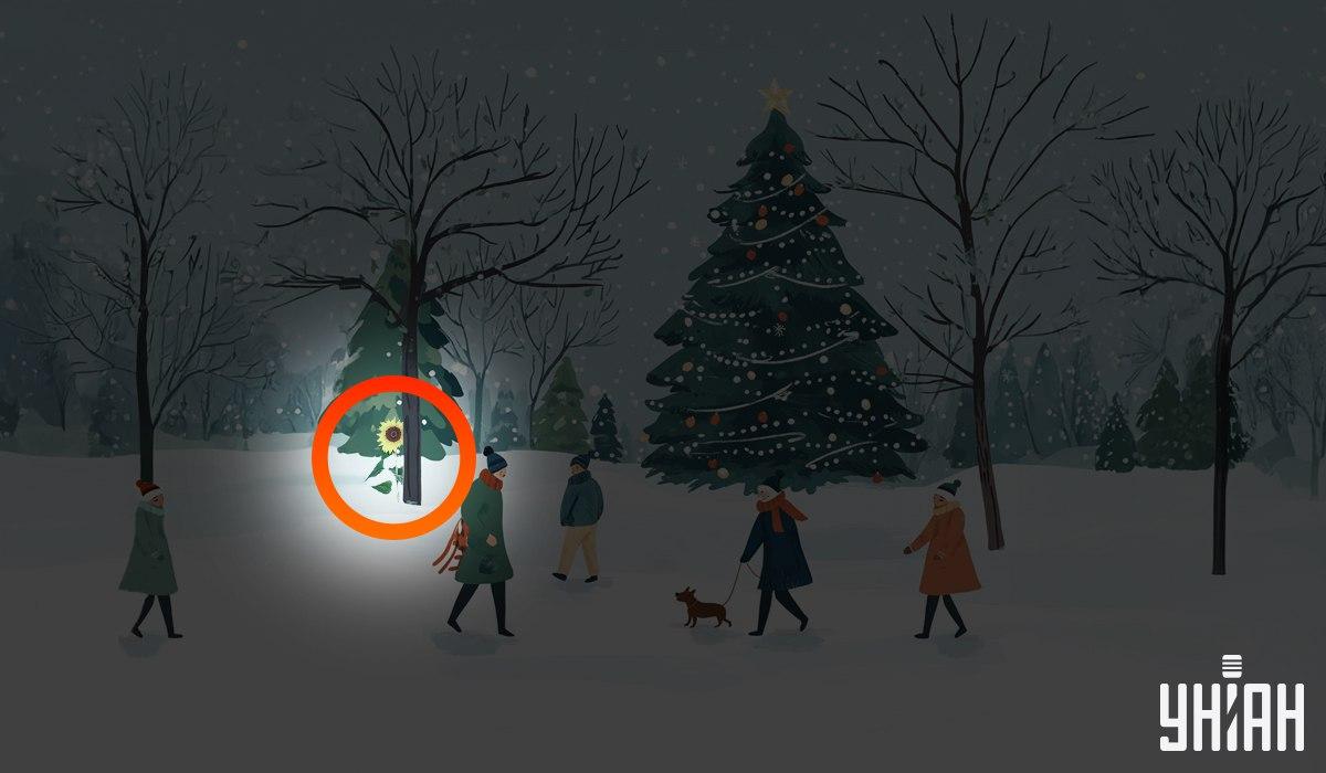 Colaj Moje cu soluția