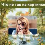 Găsiți o eroare grosolană într-o imagine în 5 secunde: un