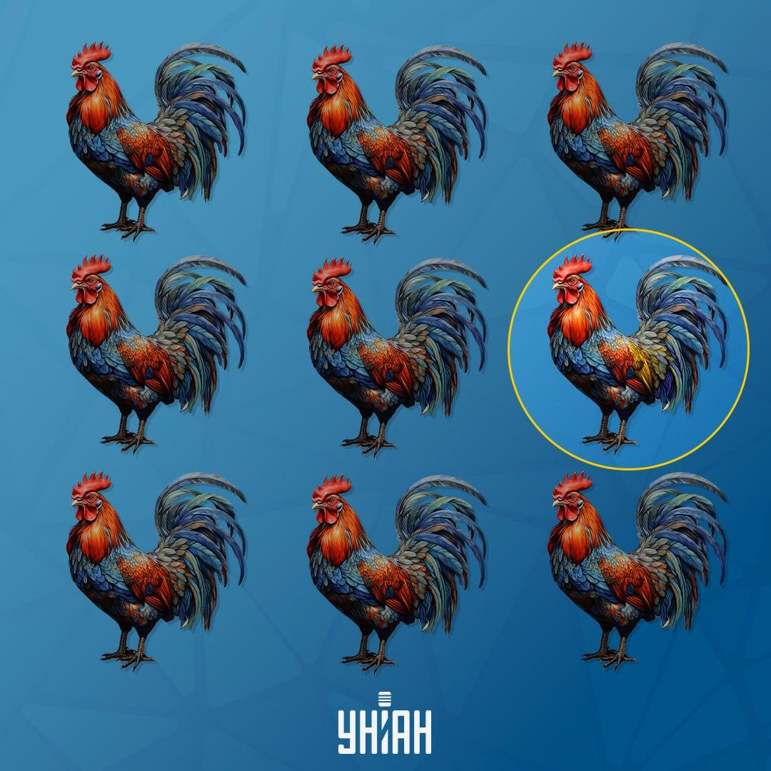 Cocoșul, care este diferit de ceilalți, era în stânga / colaj Moje