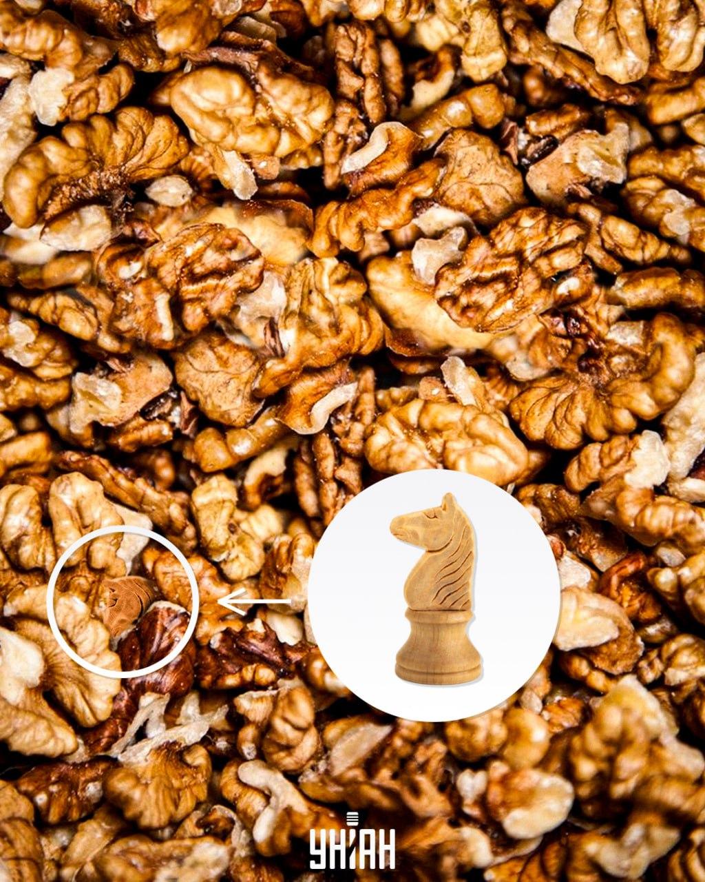 Răspuns / fotografie de Moje