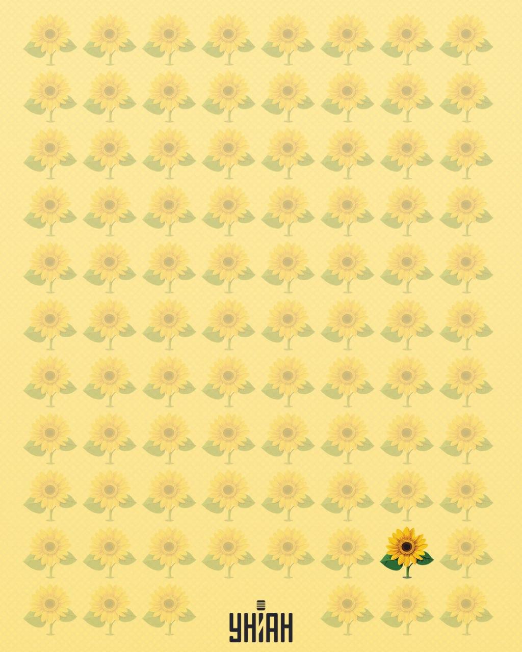 O floarea-soarelui căreia îi lipsea o petală a fost numită ciudată / colaj Moje