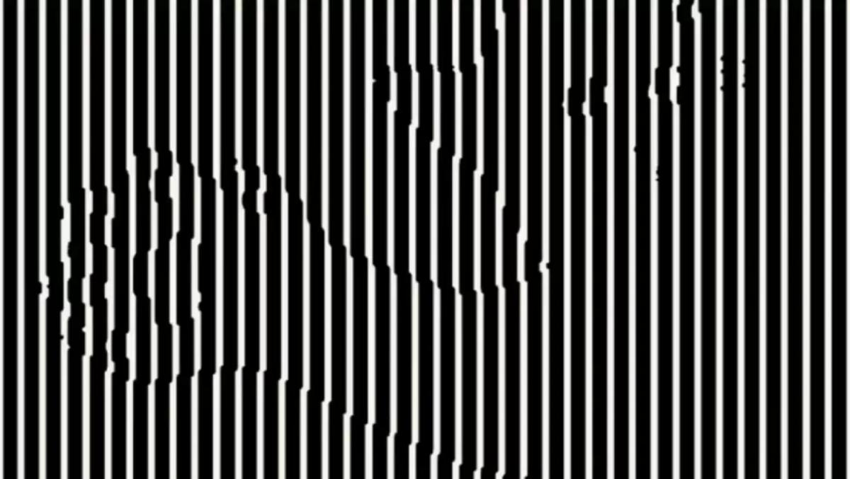 Găsiți animalul de pe această iluzie optică: nu toată lumea o poate face corect de prima dată Găsește animalul din această iluzie optică: nu toată lumea poate să o facă bine din prima