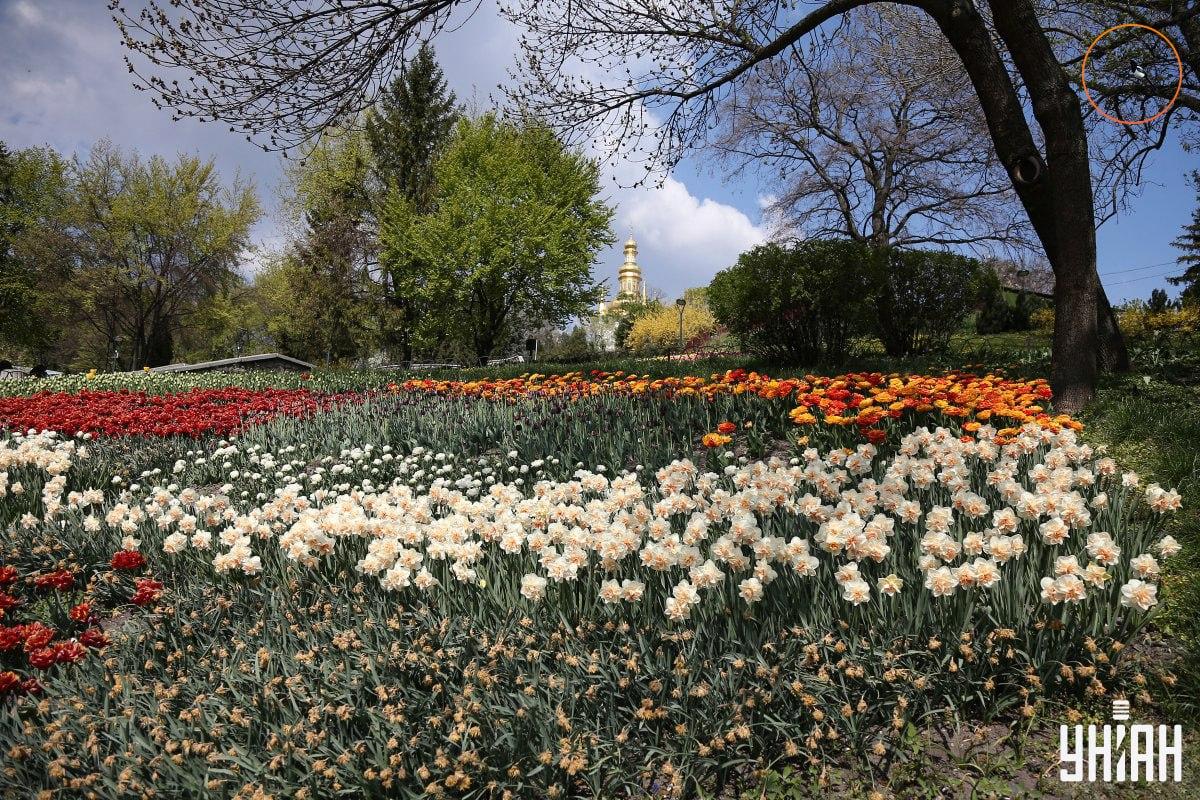 O pasăre stătea pe o ramură de copac / colaj Moje O pasăre stătea pe o creangă de copac / colaj Moje