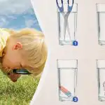Care pahar conține mai multă apă: un puzzle logic surprinzător