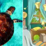 Doar 2% dintre oameni pot identifica o țestoasă: un puzzle