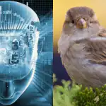 Doar persoanele cu un IQ fantastic vor găsi o vrabie