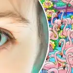 Găsiți fata printre flamingo în 8 secunde: acest puzzle vă