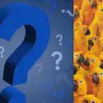 Găsiți un pui printre zeci de papagali în 9 secunde: