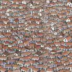 Iluzie optică: găsiți o pisică ascunsă printre case în 30