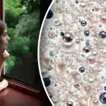 Iluzie optică pentru cei mai atenți: doar geniile vor găsi diamantul ascuns Iluzie optică pentru cei mai atenți: doar geniile vor găsi