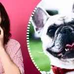 Iluzie optică super sofisticată: numai un detectiv adevărat poate găsi