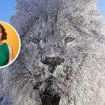 Persoană "închisă" sau "sociabilă": ce poate spune iluzia optică despre