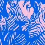 Test de imagine: iluzia optică va determina cât de sociabil