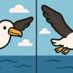 Test IQ: găsiți 3 diferențe într-o imagine cu o pasăre