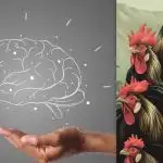 Test IQ simplu: găsește găina printre cocoși în 7 secunde