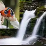 Toată lumea vede cascada, și doar cei foarte atenți vor