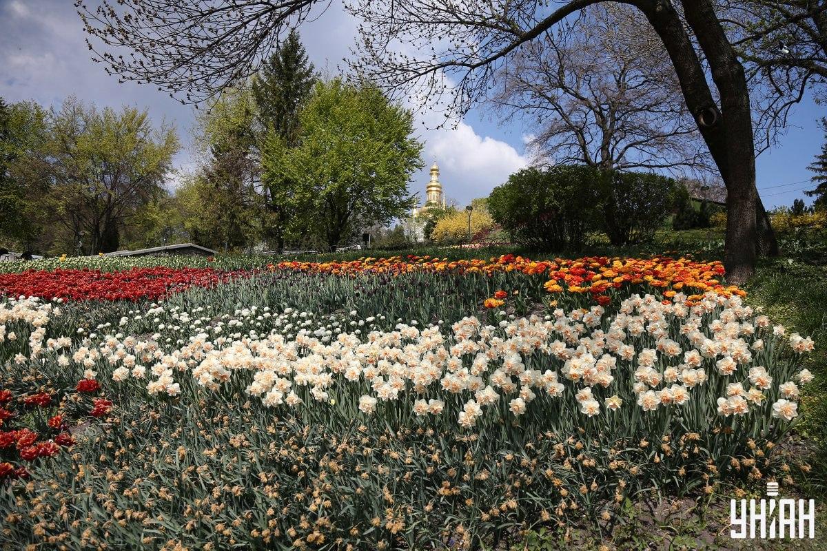 Găsiți pasărea în mai puțin de 10 secunde / colaj Moje Găsiți pasărea în mai puțin de 10 secunde / colaj Moje