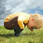 Toată lumea vede ratoni, iar tu trebuie să găsești câinele: