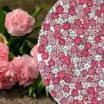 Trebuie să găsești cinci stele într-o mare de culori în