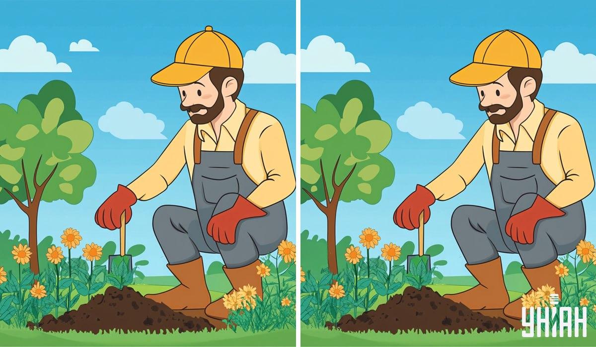 Colaj Moje - Provocarea inițială